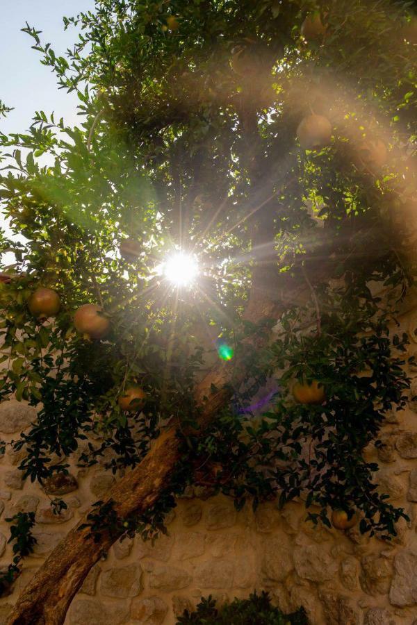 Yesil Ev Cafe & Boutique Hotel HATAY Buitenkant foto